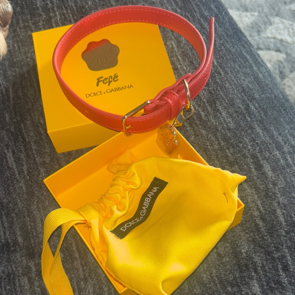 Dolce & Gabbana Red Dog Collar